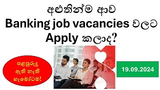 Latest Banking Job Vacancies in Sri Lanka 2024 for Freshers amp Experienced Professionals [upl. by Yttocs]