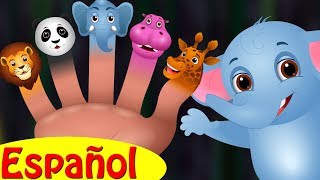 Familia Dedo Elefante Colección  Canciones infantiles en EspañolChuChu TV [upl. by Akcinahs]