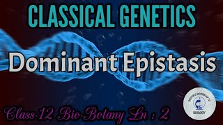 Dominant Epistasis in tamil  Classical Genetics [upl. by Nim]