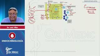 RM 2024 Endocrino 1 Hipotiroidismo Hipertiroidismo tiroiditis nódulo tiroideo Eutiroieo enfermo [upl. by Spring]