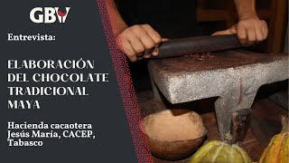 Elaboración Chocolate Tradicional Maya [upl. by Zsa Zsa]