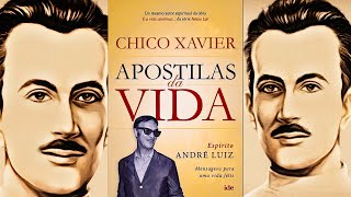 APOSTILAS DA VIDA Audiolivro Espírita  Por André Luiz e Chico Xavier [upl. by Abbotsen]