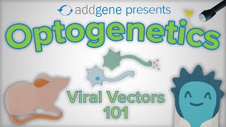 Optogenetics  Viral Vectors 101 [upl. by Mlehliw]