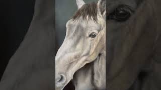 Varnishng an oil portrait of a horse by artist Nikki Carr [upl. by Annayoj787]