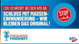 Schluss mit Masseneinwanderung  wir bleiben das Original  Frequenz Freiheit  Ausgabe 272023 [upl. by Ydac481]