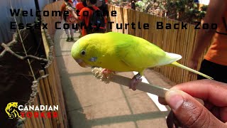 Check out the Essex County Turtle Back Zoo [upl. by Audwin]