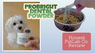 I tried ProBright Dental Powder for Bad Dog Breath  Honest Pet Lab Co Review [upl. by Enneirb]