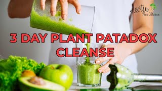 How to do the Plant Paradox 3Day Cleanse [upl. by Attenauqa]