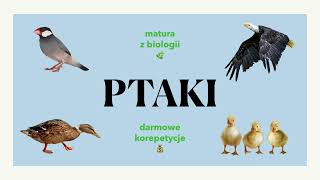 33 Ptaki 🦅  budowa charakterystyka podział budowa jaja 🥚🪶  matura z biologii 🍃 liceum [upl. by Ennairek183]