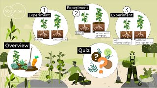 What are the effects of compost addition on plant growth in saline soil DIY experiments [upl. by Bowers]