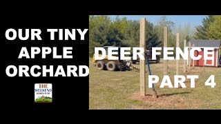 Our Tiny Orchard Series  Part 4  Installing Deer Fencing [upl. by Phaedra317]