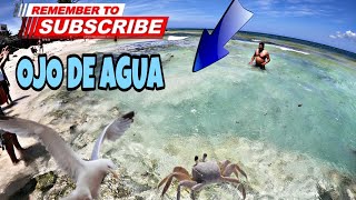 Que esta PASANDO en Playa del Carmen  Aparece OJO de AGUA en el MAR [upl. by Acinnod]