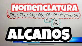 Cómo NOMBRAR ALCANOS 🧬⚗ Nomenclatura IUPAC 🚩 [upl. by Nagel262]