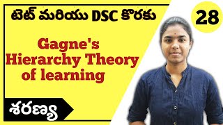 Gagnes Hierarchy Theory of Learning explained in telugu  CDP  Ctet Telugu  Ctet 2021 [upl. by Cela722]