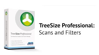 TreeSize Professional  Scans and Filters [upl. by Nabal]