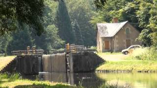 Ploegen met driespan Belgische trekpaarden shorts BelgischTrekpaard horse paard drafthorses [upl. by Stokes224]