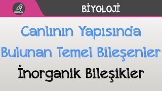 Canlının Yapısında Bulunan Temel Bileşenler  İnorganik Bileşikler [upl. by Inga888]