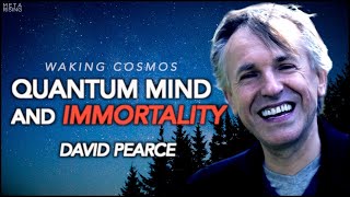 Quantum Mind Transhumanism and Paradise Engineering  David Pearce  Waking Cosmos [upl. by Whang]