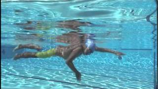 How To Swim Freestyle by Shinji Takeuchi  Acceleration [upl. by Baiss330]