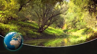 The Sava Floodplains  Croatias secret paradise  Full Documentary [upl. by Cavuoto]