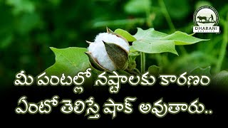 పంటలో సూక్ష్మ పోషకాల లోపం సవరణకు మార్గాలు  Ways to micronutrient deficiency in crops  9121319091 [upl. by Aniram]