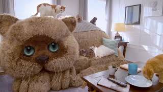 Febreze  Noseblind  Cat Couch [upl. by Gav]