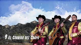 el corrido del chapo los plebes del rancho de ariel camacho [upl. by Riplex]