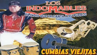 Los Indomables  Los Indomables  Cumbias y Rancheras  30 Canciones Inolvidables [upl. by Anwahsar]