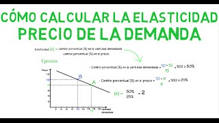 Cómo calcular la elasticidad  Cap 7  Microeconomía [upl. by Aramenta925]