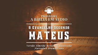 O Evangelho de Mateus  A Bíblia Falada e Dramatizada na Versão ARA  A Bíblia em Áudio  4066 [upl. by Prissie216]