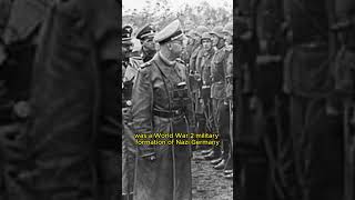 14th Waffen Grenadier Division 1st Galicia  WW2  shorts history historyfacts ww2 wwii [upl. by Dnaletak616]