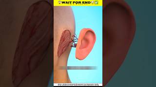 Kan cut Jaaye to kya hoga🤯✅New Viral Gadgets Smart Appliances Kitchen Utensils shorts gadgets [upl. by Ennovahc]