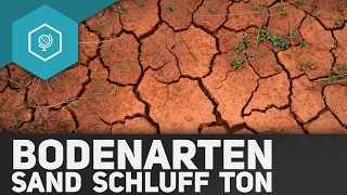 Bodenarten Was sind Sand Schluff und Ton  Böden Basics 4 [upl. by Bobseine]