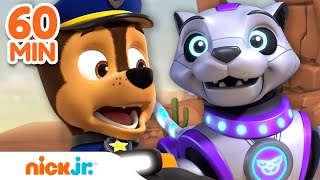 PAW Patrol Mega Robot Rescues w Chase Skye amp RoboDog  1 Hour Compilation  Nick Jr [upl. by Omrelliug]