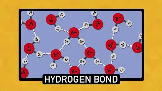 The Chemistry of Water  Chemistry Basics [upl. by Airet641]