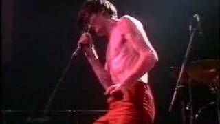 The Undertones  When Saturday Comes live [upl. by Dallon]