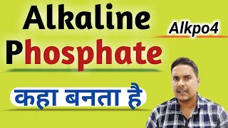 Alkaline phosphatase  Alkaline phosphatase test in hindi [upl. by Ellswerth]