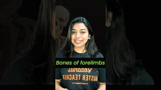 Trick to remember bones of forelimbs 💪🏻 neet2024 neet biology locomotionandmovement ncert [upl. by Aekerly]