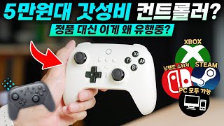 굳이 프로콘 안 사도 되는 이유 정품보다 미친 만족감이라는 5만원대 무선 컨트롤러 사봤습니다 [upl. by Fiorenze200]