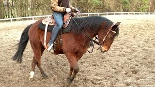 Natural horsemanship Under Saddle  Untracking the Hindquarters [upl. by Ezarra605]