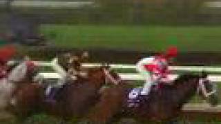 2007 Breeders Cup Classic [upl. by Necila]