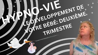 Le Developpement de Votre Bébé Durant le Deuxième Trimestre de la Grossesse [upl. by Cela]