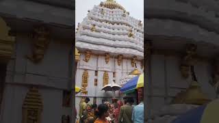 jay siva sambhuodiashortsvairalshortstreandingvideoodiashortvideoricha vairal [upl. by Aiken]