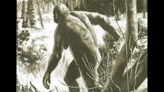 Witness of the unknown Bigfoot encroaching on your home EP 2 [upl. by Crofoot]