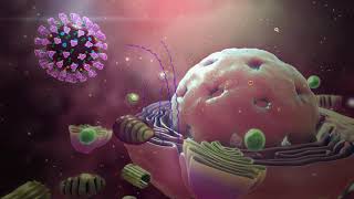 Medical Animation explaining Coronavirus MOA  How Coronavirus attacks a human body UPDATED [upl. by Htiek]