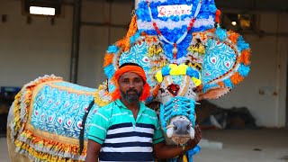 Lucky Gem of NTC bulls  Sahukar Blue Decoration  Complete Video [upl. by Neilson]