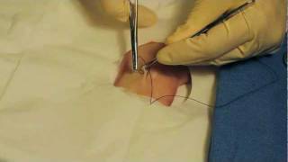 How to Suture with Dr Bones Dr Alton [upl. by Atiuqam638]