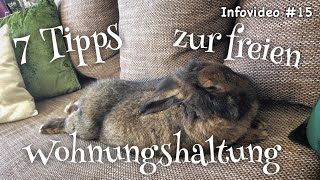 7 Tipps zur freien Wohnungshaltung von Kaninchen [upl. by Shurwood]