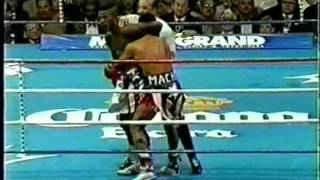 Hector Macho Camacho Vs Felix Tito Trinidad [upl. by Fezoj]