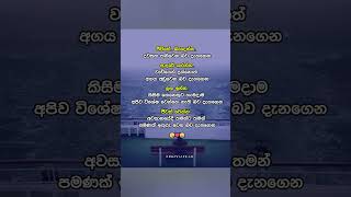 sinhala wadan wadan  adara wadan  wadan sinhalawadan adarawadan sinhalaadarawadan crazylife [upl. by Nirat]